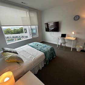 Privé kamer te huur voor $2,145 per maand in East Boston, Addison St