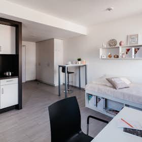 Monolocale in affitto a 919 € al mese a Darmstadt, Havelstraße