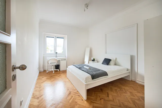 Private room in Rua Jorge Ferreira de Vasconcelos, Lisbon (1495909) room image 2