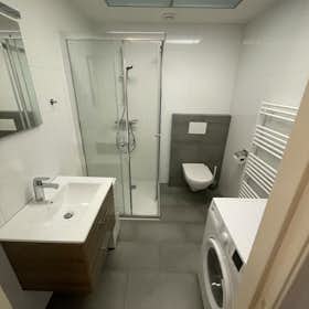 WG-Zimmer for rent for 760 € per month in Maastricht, Oude Tweebergenpoort