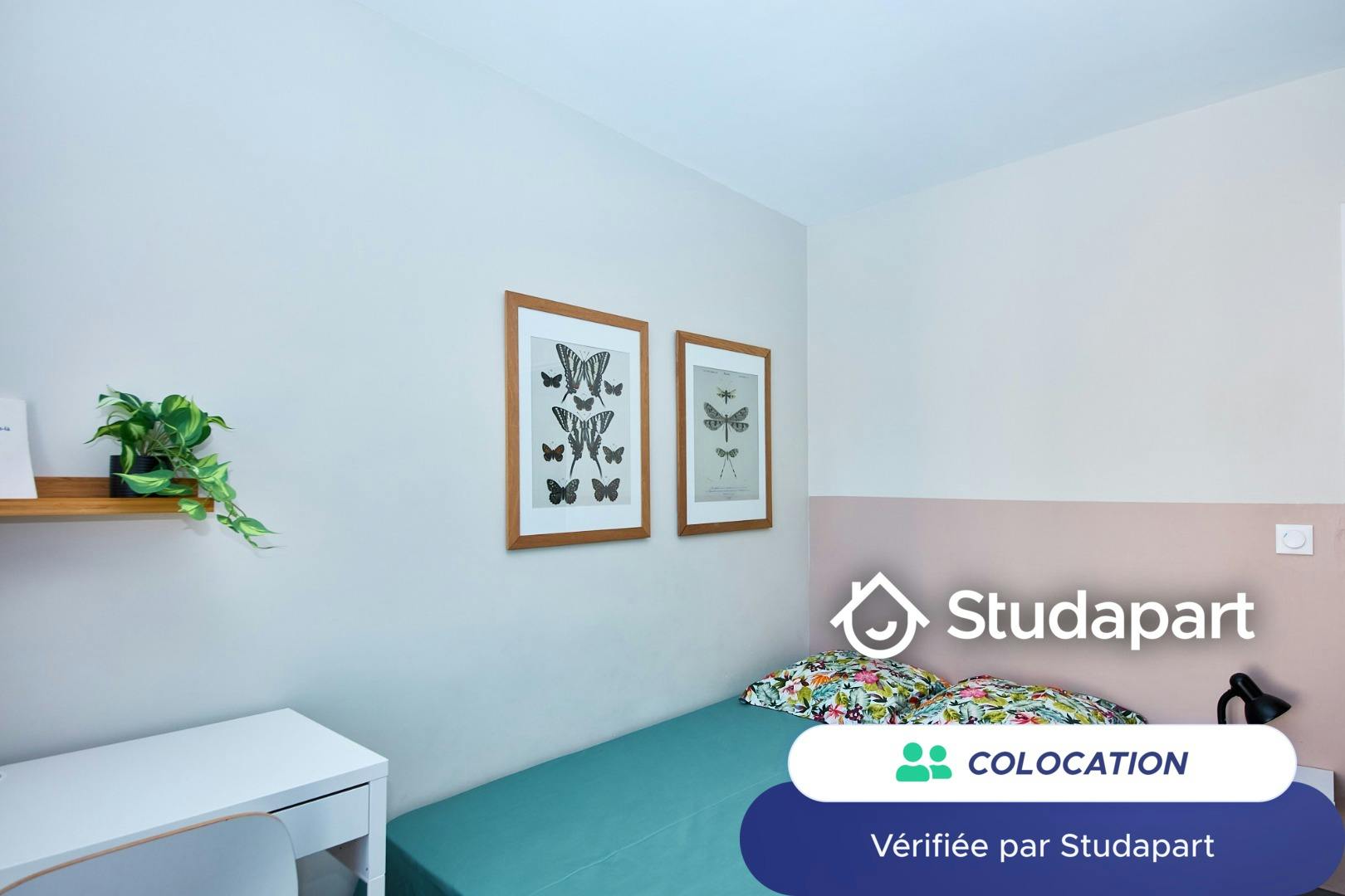 Private room for rent on Boulevard Michelet, Marseille - Plus