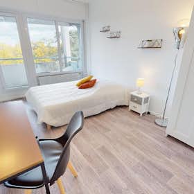 Приватна кімната за оренду для 500 EUR на місяць у Lyon, Rue Professeur Patel