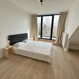 Приватна кімната за оренду для 860 EUR на місяць у Ixelles, Rue Augustin Delporte