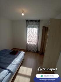 私人房间 正在以 €550 的月租出租，其位于 Fegersheim, Rue des Glycines