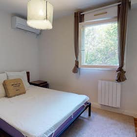 Private room for rent for €546 per month in Montpellier, Rue Georges Briquet