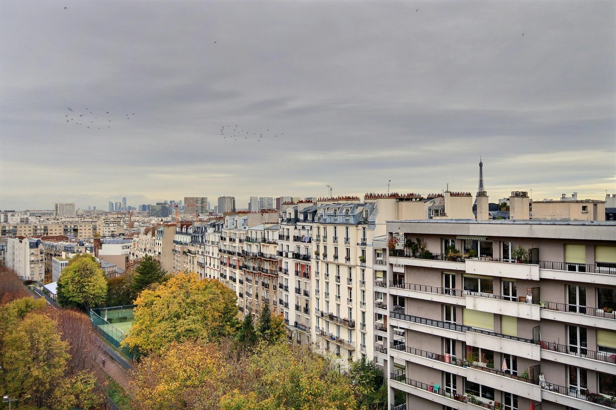 1-Bedroom Apartment in Rue Lefebvre, Paris (1497897) ROOM 1