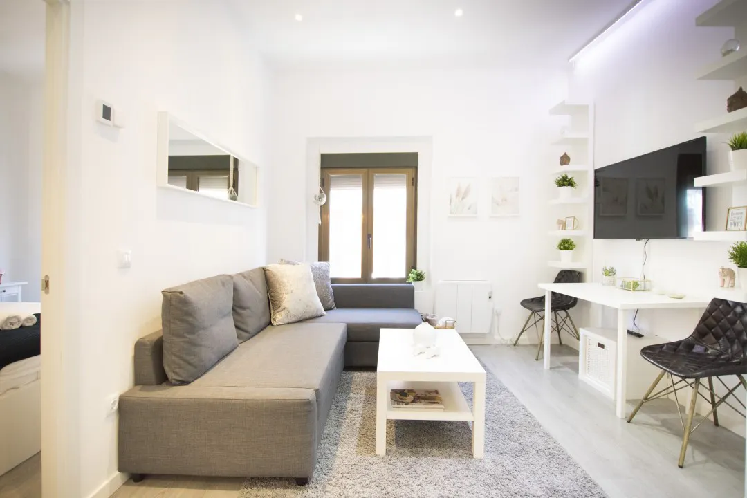 Apartment in Plaza de San Ildefonso, Madrid (1498022) ROOM 4