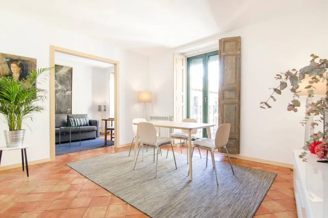 Apartment in Calle Marqués de Santa Ana, Madrid (1498045) ROOM
