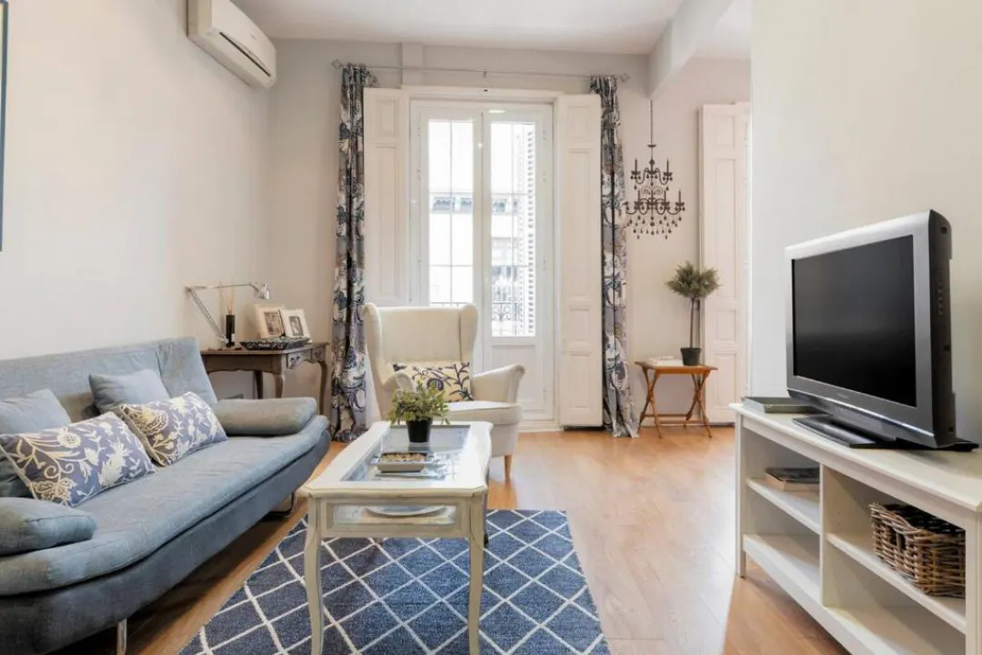 Apartment in Calle de la Montera, Madrid (1498204) ROOM 1
