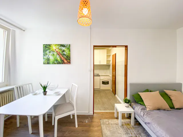 1-Bedroom Apartment in Spandauer Damm, Berlin (1498386) room image 2