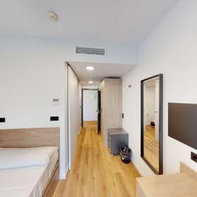 Private room for rent for €650 per month in San Vicent del Raspeig, Calle de Alicante