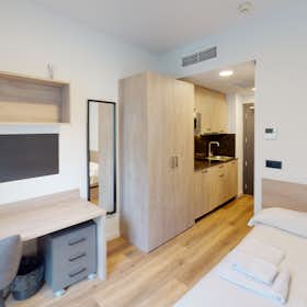 Private room for rent for €683 per month in San Vicent del Raspeig, Calle de Alicante