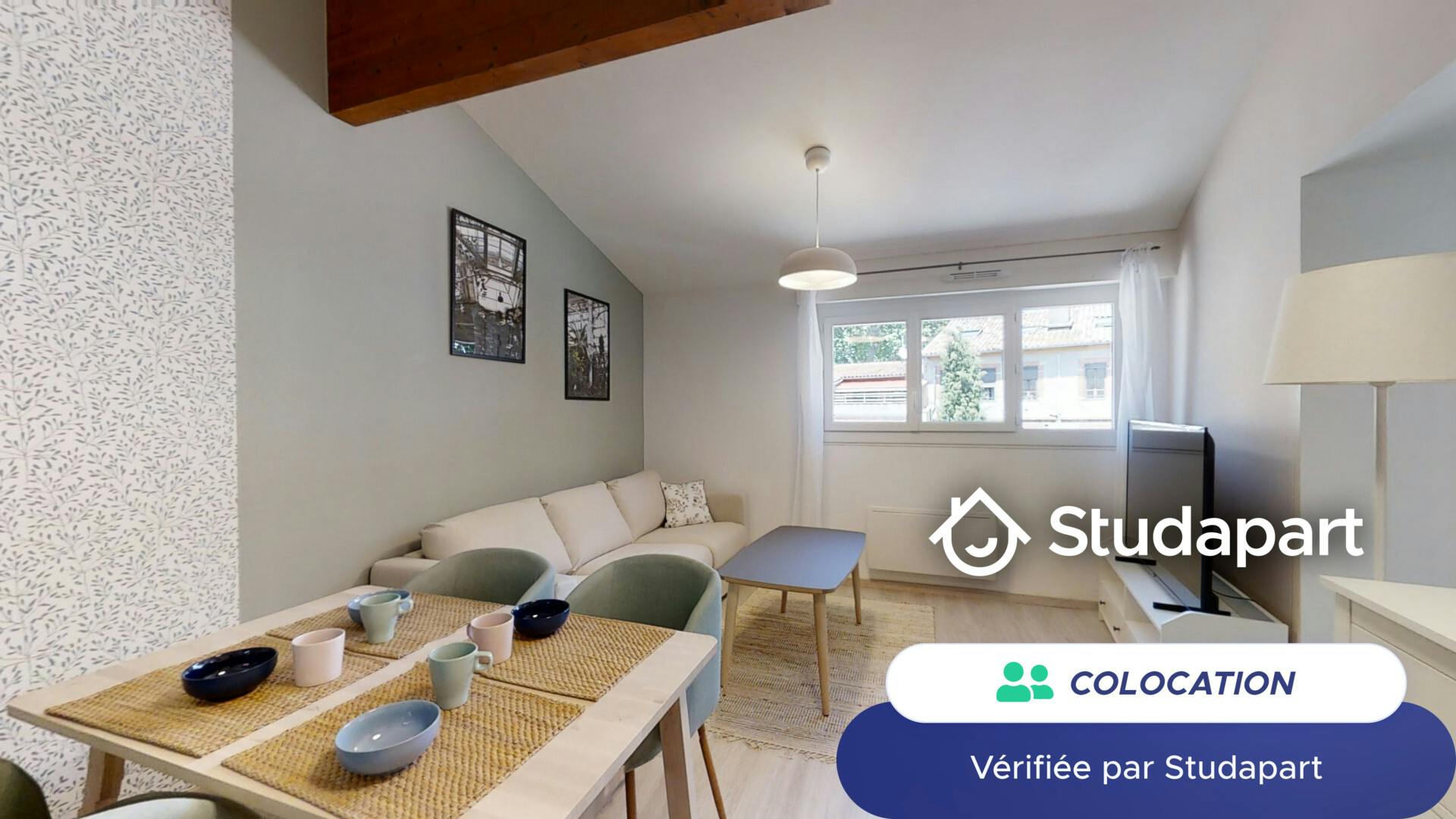 Private room for rent on Rue des Amidonniers, Toulouse - Plus