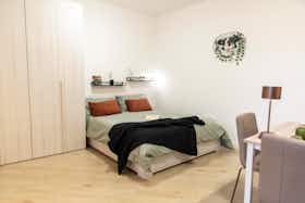 Studio for rent for €1,275 per month in Ciampino, Via Bari