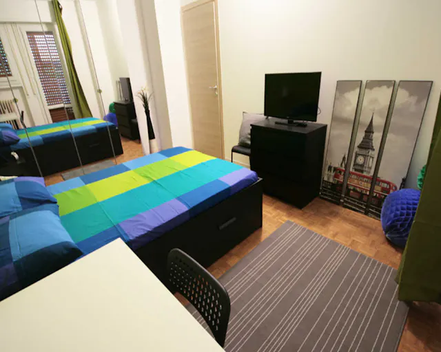 Private room in Via Plinio, Milan (1499081) room image 2