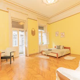 Private room for rent for HUF 173,093 per month in Budapest, Lovag utca