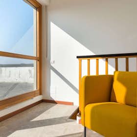 Private room for rent for €555 per month in Cesano Boscone, Via delle Betulle