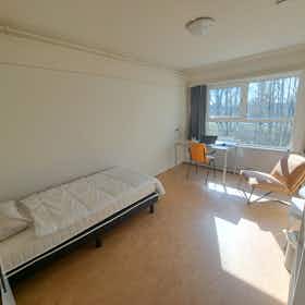 Habitación privada en alquiler por 512 € al mes en Nijmegen, Vossendijk