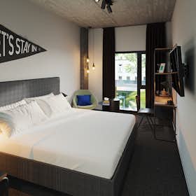 WG-Zimmer for rent for 801 € per month in Donostia / San Sebastián, Otamendi Anaiak kalea
