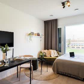 Monolocale in affitto a 865 € al mese a Tilburg, Reitseplein