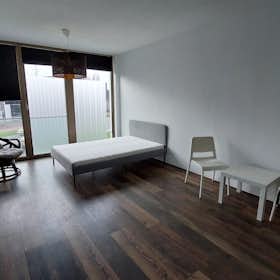 Studio for rent for 1.250 € per month in The Hague, Calandkade