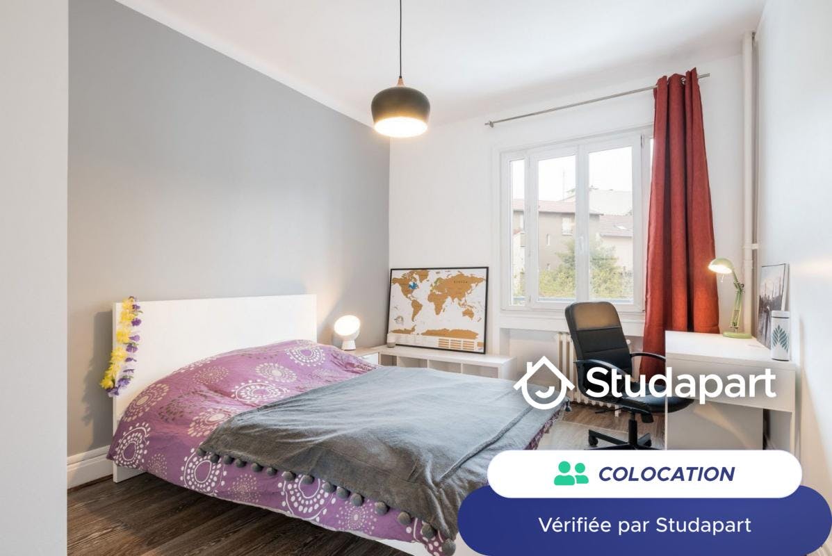 Private room for rent on Rue Trarieux, Lyon - Widok 4