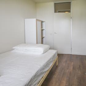 WG-Zimmer for rent for 918 € per month in Amsterdam, Leusdenhof