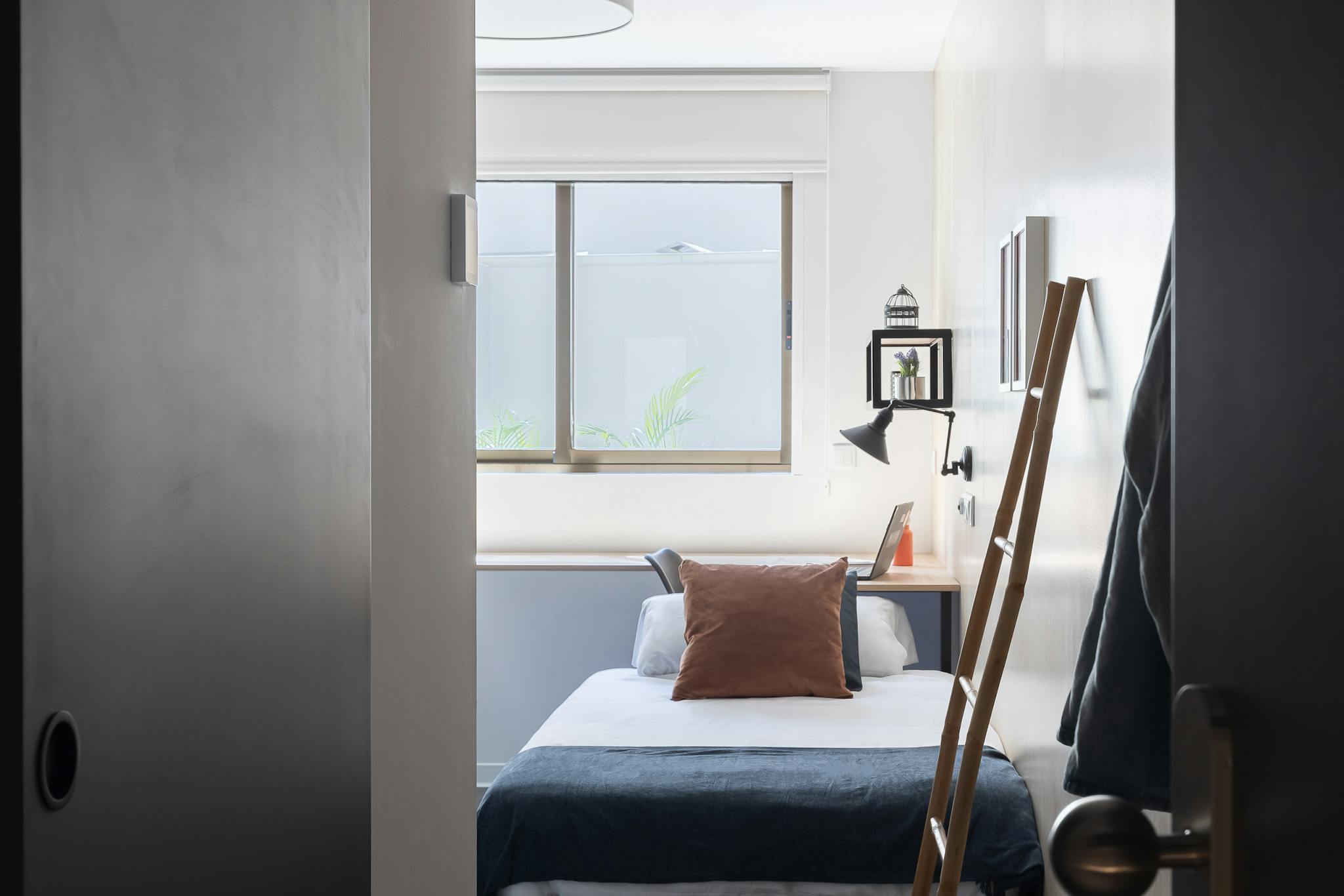 Passeig Facultats, Valencia preview