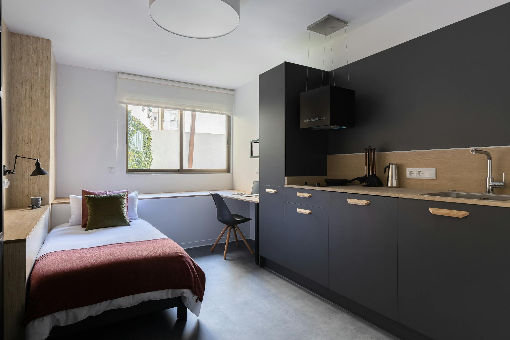 Passeig Facultats, Valencia preview