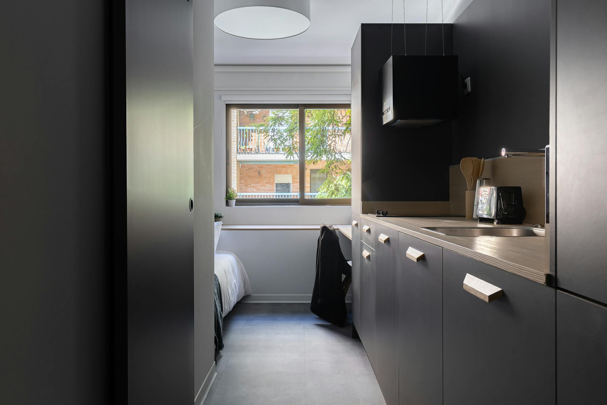 Passeig Facultats, Valencia preview