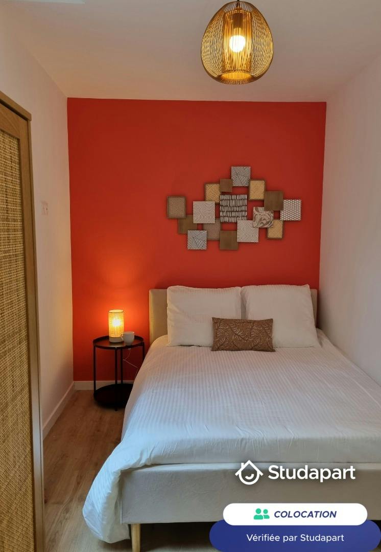 Private room for rent on Rue de la Chaude Rivière, Lille - Plus
