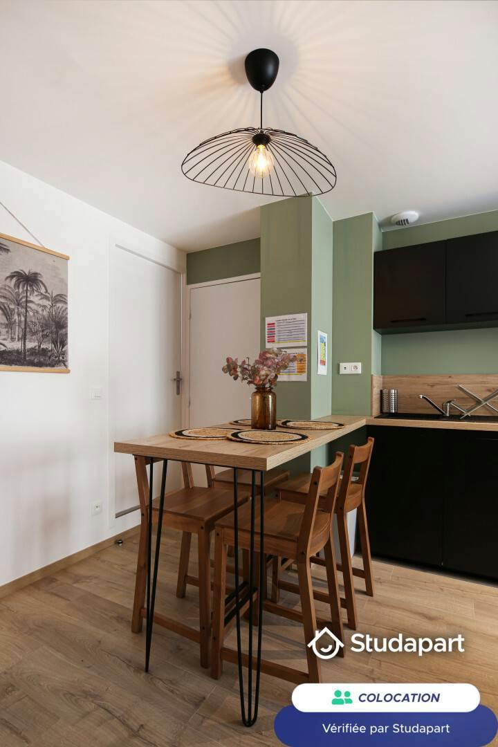Private room for rent on Rue Général de Miribel, Lyon - Vue 4