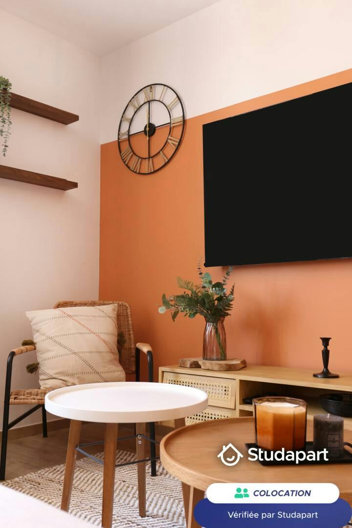 Private room for rent on Rue Général de Miribel, Lyon - Plus