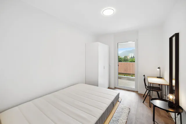 Private room in Waagner-Biro-Straße, Graz (1501615) room image 2