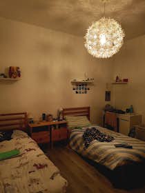 Shared room for rent for €320 per month in Bologna, Via San Petronio Vecchio