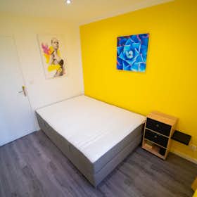 Private room for rent for €425 per month in Lyon, Rue Jean Sarrazin