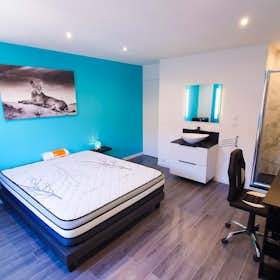 Private room for rent for €475 per month in Villeurbanne, Route de Genas