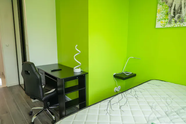 Private room in Route de Genas, Villeurbanne (1501837) room image 2