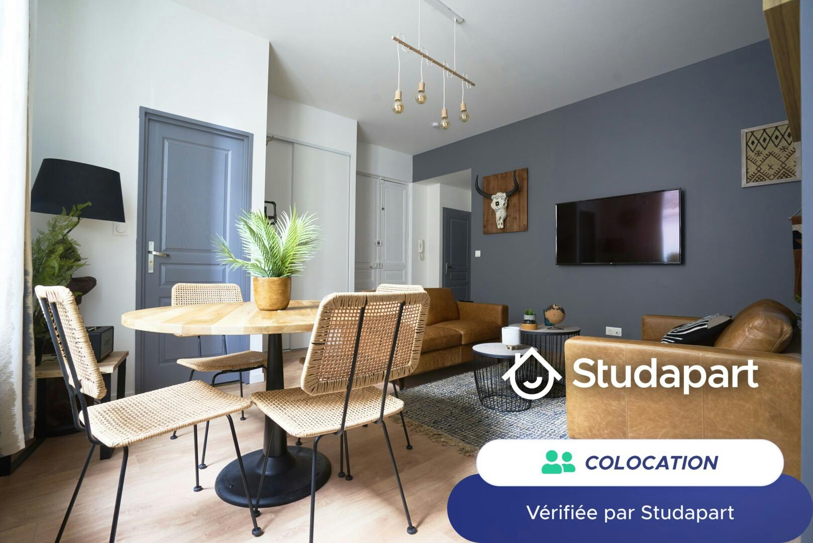 Private room for rent for €530 per month in Reims, Rue de Vesle