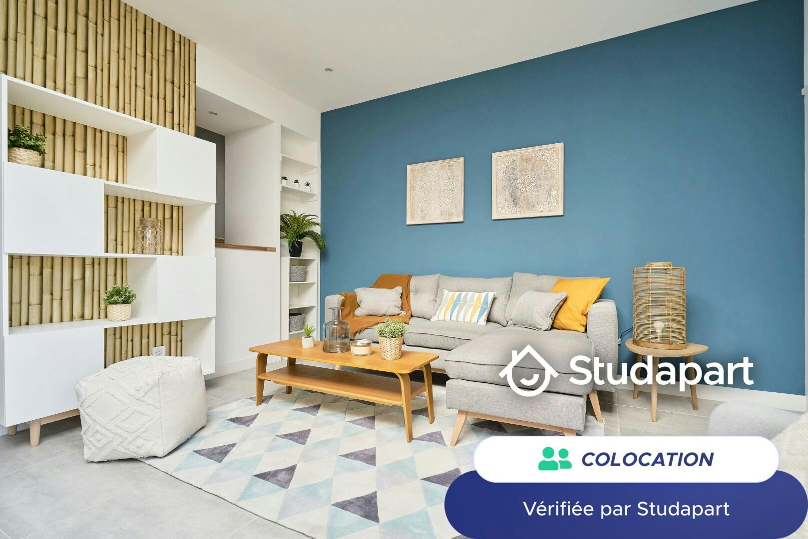 Private room for rent on Rue Jordaens, Lille - Plus