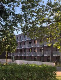 Lägenhet att hyra för 550 € i månaden i Potsdam, Reiherweg