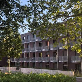 Appartement for rent for 650 € per month in Potsdam, Reiherweg