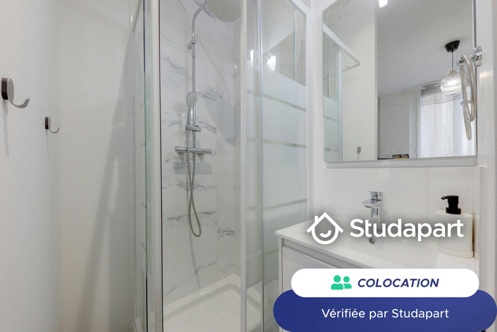 Private room for rent on Rue Nicolai, Lyon