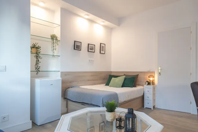 Private room in Paseo de la Castellana, Madrid (1502805) room image 1