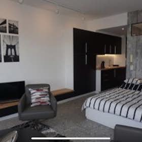 Studio for rent for € 1.100 per month in Antwerpen, Brialmontlei