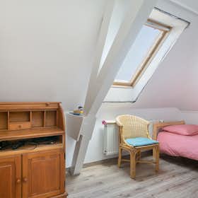 Privé kamer te huur voor € 800 per maand in Schiedam, Boterstraat