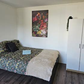 Chambre privée for rent for 800 € per month in Utrecht, Peltlaan