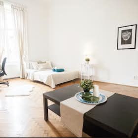 Immeuble for rent for 137 966 HUF per month in Budapest, József körút