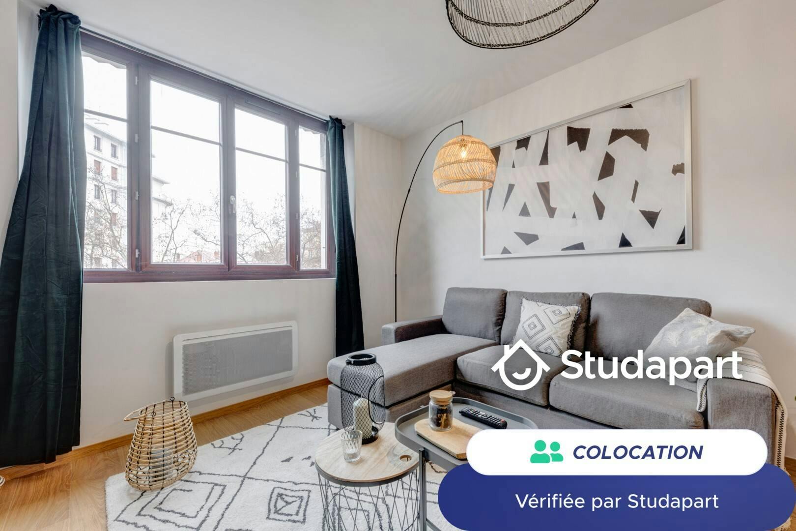 Private room for rent on Avenue Lacassagne, Lyon - Vue 4