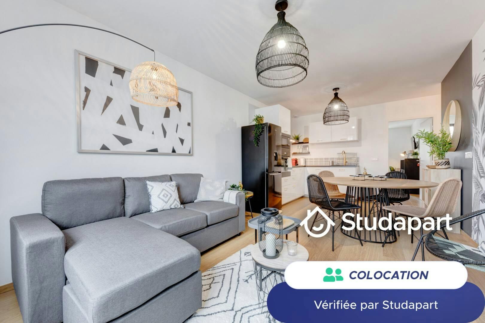 Private room for rent on Avenue Lacassagne, Lyon - Vue 3